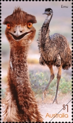 [Flightless Birds, type EQP]