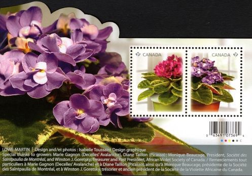 [Flowers - African Violets, type ]