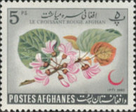 [Afghan Red Crescent Society, type JG]