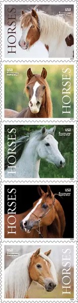 [Fauna - Horses, type ]