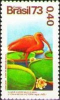 [Brazilian Flora and Fauna, type BAE]