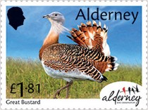 [Bird Obersvatories Across the British Isles, type AFL]