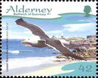 [Seabirds, type JV]