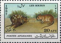 [Fauna - Mice, type AHV]