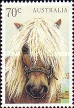 [House Pets, type APX]