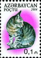 [Domestic Cats, type AKN]