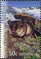 [Threatened Wildlife, type CXB]