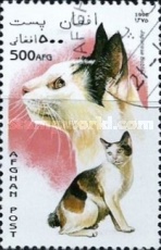 [Cats, type AMY]