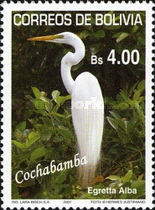 [Birds of Bolivia - Cochabamba, type BHW]