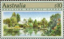 [Adelaide Botanic Garden, type ALV]
