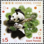 [First Public Presentation of the New Giant Pandas in Ocean Park, type AXW]