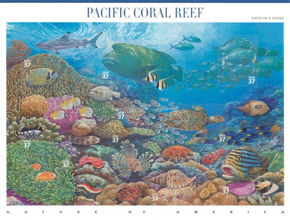 [Nature of America - Pacific Coral Reef, type ]