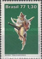[Brazilian Molluscs, type BHN]