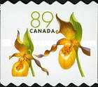 [Flowers - Self-Adhesive, type CJQ]