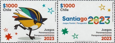 [The Pan-American Games, type ]