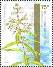 [Aromatic Plants, type CXB]