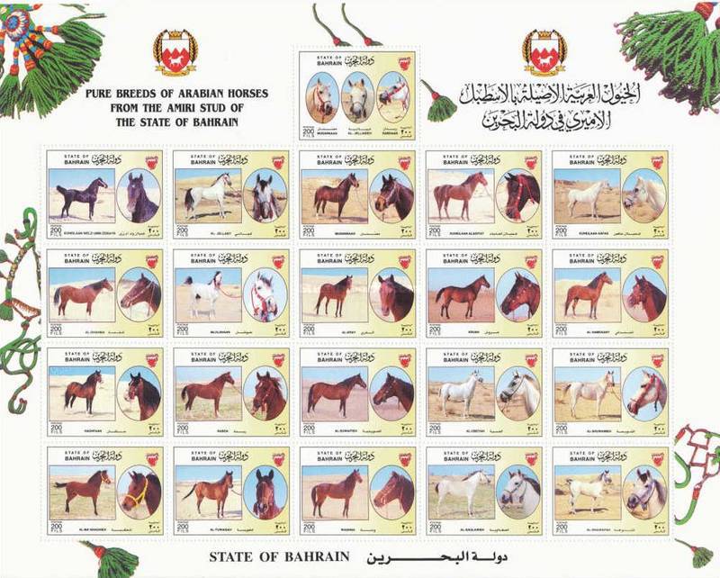 [Arab Horses at Amiri Stud, type ]