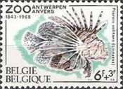 [Fish - The 125th Anniversary of Antwerp Zoo, type AJR]