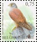 [Birds - Black Swift & Common Kestrel, type DGI]