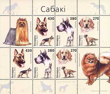 [Dogs, type ]