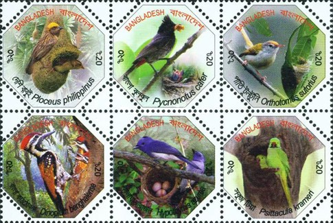 [Fauna - Birds Nests, type ]
