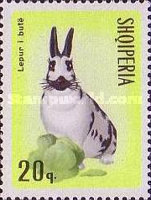[Rabbits & Hares, type ABK]