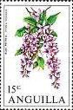 [Flowers of the Lesser Antilles, type BD]