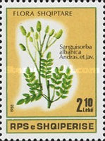 [Plants, type BKF]