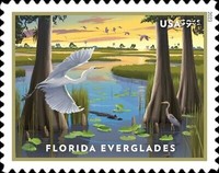 [Local Motives - The Florida Everglades, type ITM]