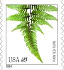 [Flora - Ferns, type GLB]