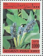 [Flora - Flowers, type AOI]