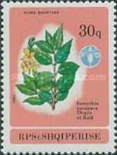[Plants, type BJF]