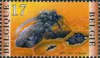 [Insects - Bees, type CAT]