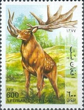 [Prehistoric Animals, type AQD]