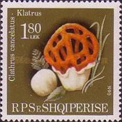 [Mushrooms, type BNC]