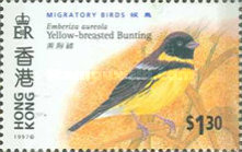 [Migratory Birds, type XN]
