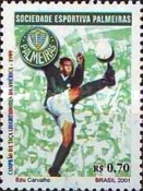 [Palmeiras Football Club, type DPT]