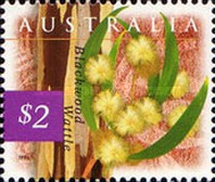 [Flora and Fauna, type AZG]