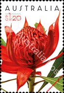 [Special Occasions, type FEB]