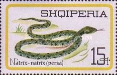 [Reptiles, type YHH]