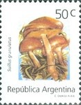 [Fungi, type BVG]