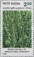 [The 60th Anniversary of Indian Council of Agricultural Research (1989), type AOM]