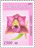 [Orchids, type TR]