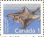 [Canadian Mammals, type ALZ]