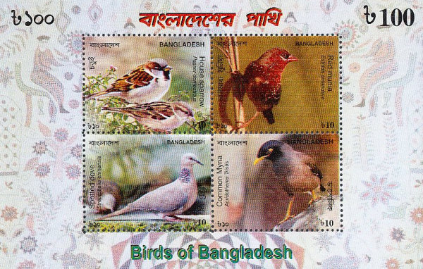 [Birds, type ]