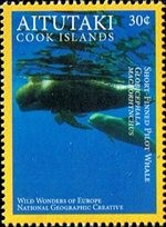 [Pacific Marine Life - Marae Moana, type XP]