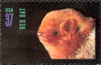 [American Bats - Self-Adhesive, type EER]