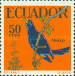 [Tropical Birds, type AIA]