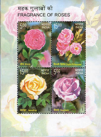 [Fragrance of Roses, type ]