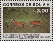 [Noel Kempff Mercado National Park, type AGM]